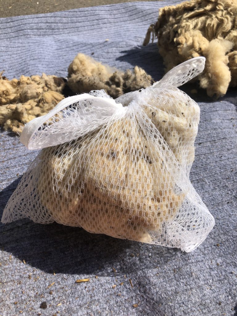 dirty, debris-filled sheep's fleece in a sealed garment bag