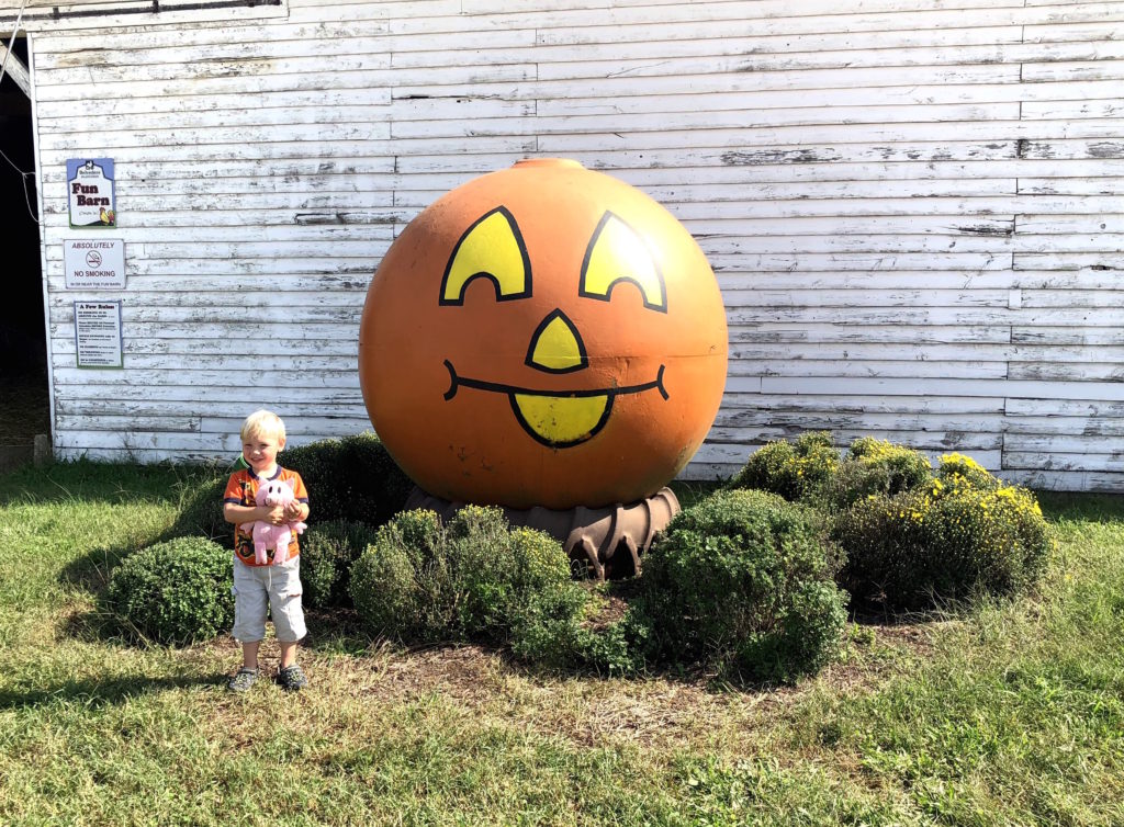 a child with a stuffed pig toy stands in front of a giant painted jack-o-lantern