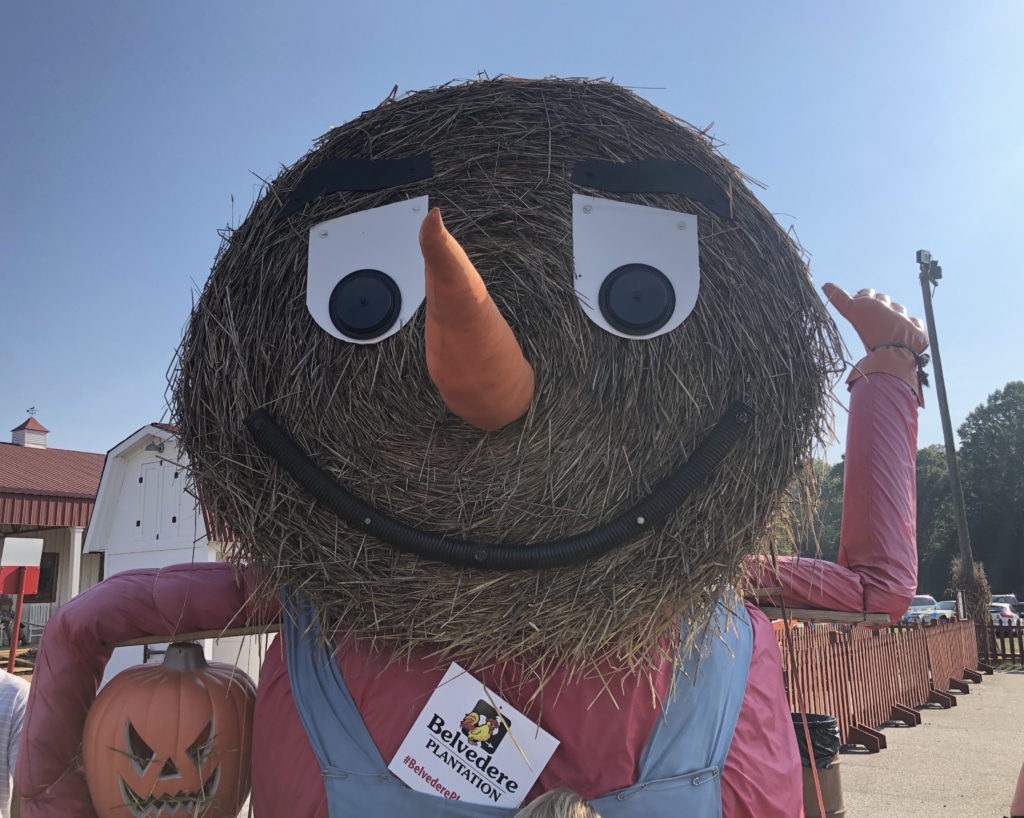 a large figure made of hay bales holds a jack-o-lantern and wears a sign that says Belvedere Plantation