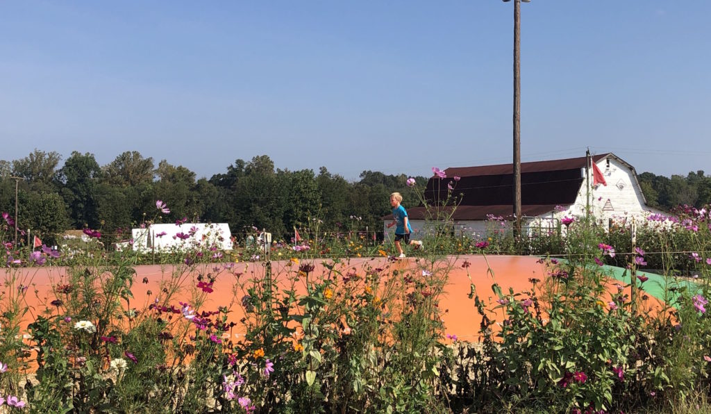 flowers surround a child running across a large jumping pillow in the background