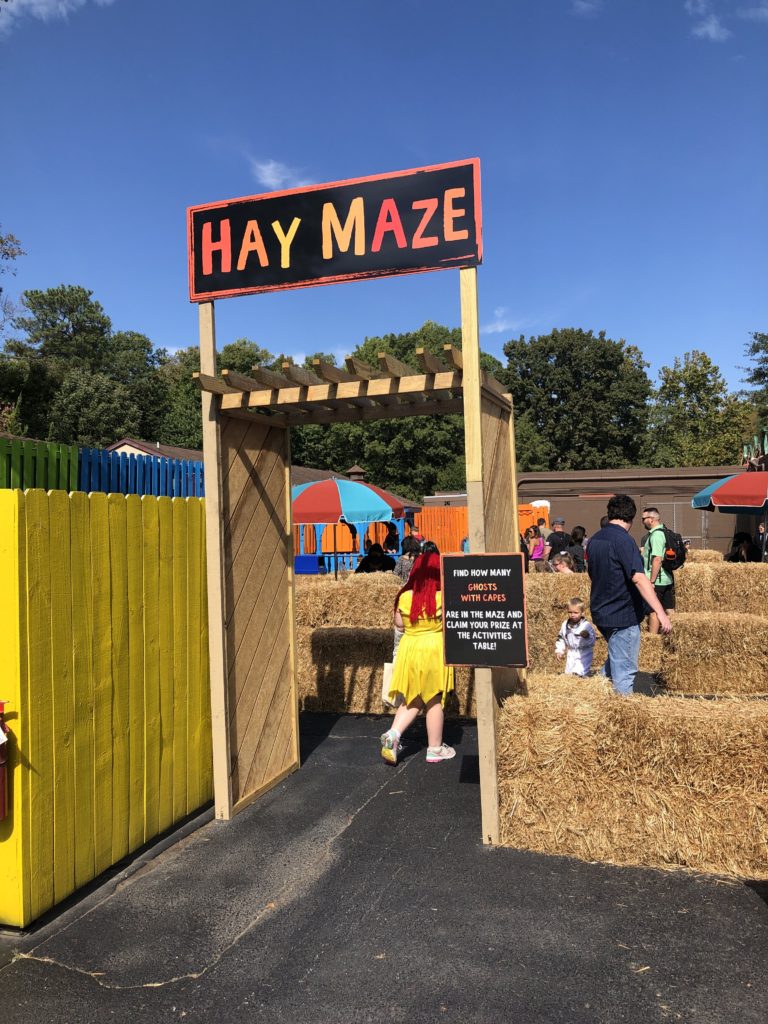 a child enters a hay maze