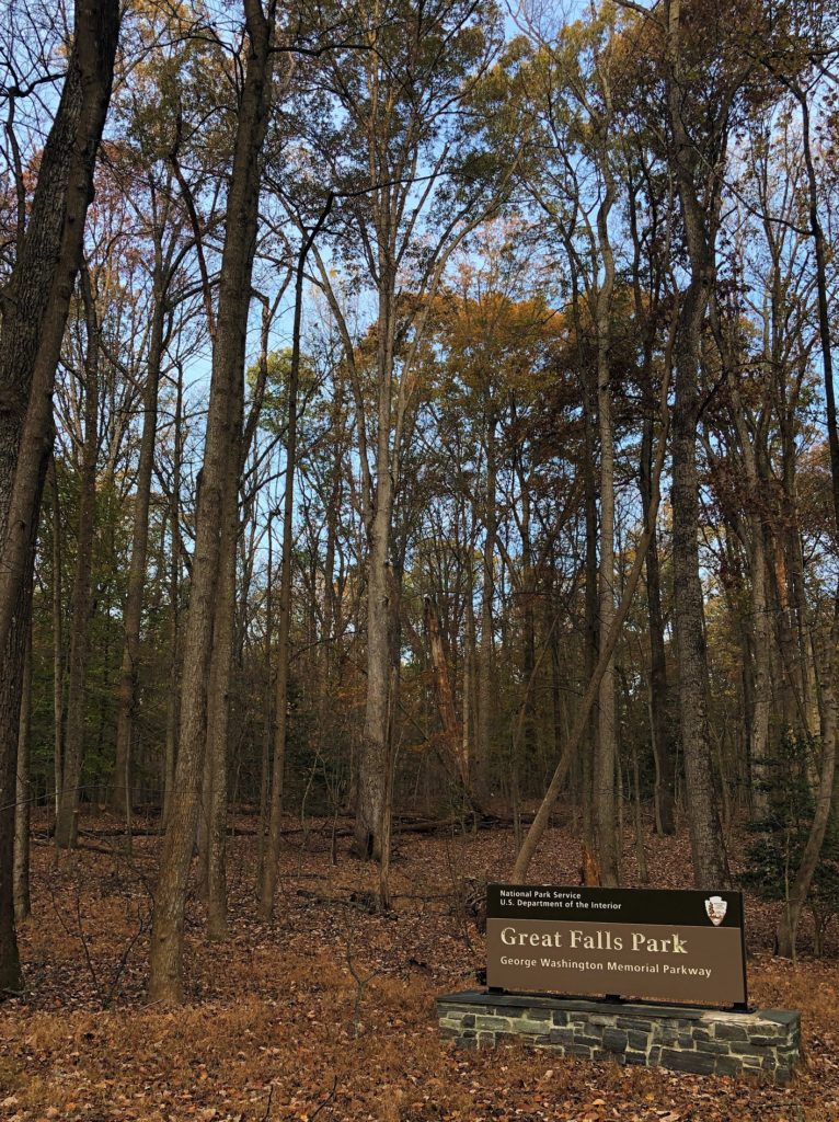 a sign reading "Great Falls Park, George Washington Memorial Parkway" is set in a bed of leaves in front of tall trees