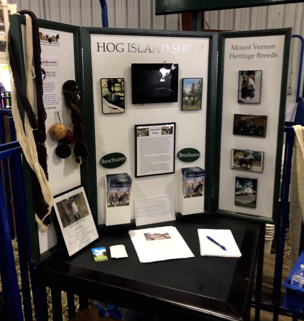 a vertical display of Hog Island Sheep information, including heritage breed photos, wool samples, and skeins of yarn