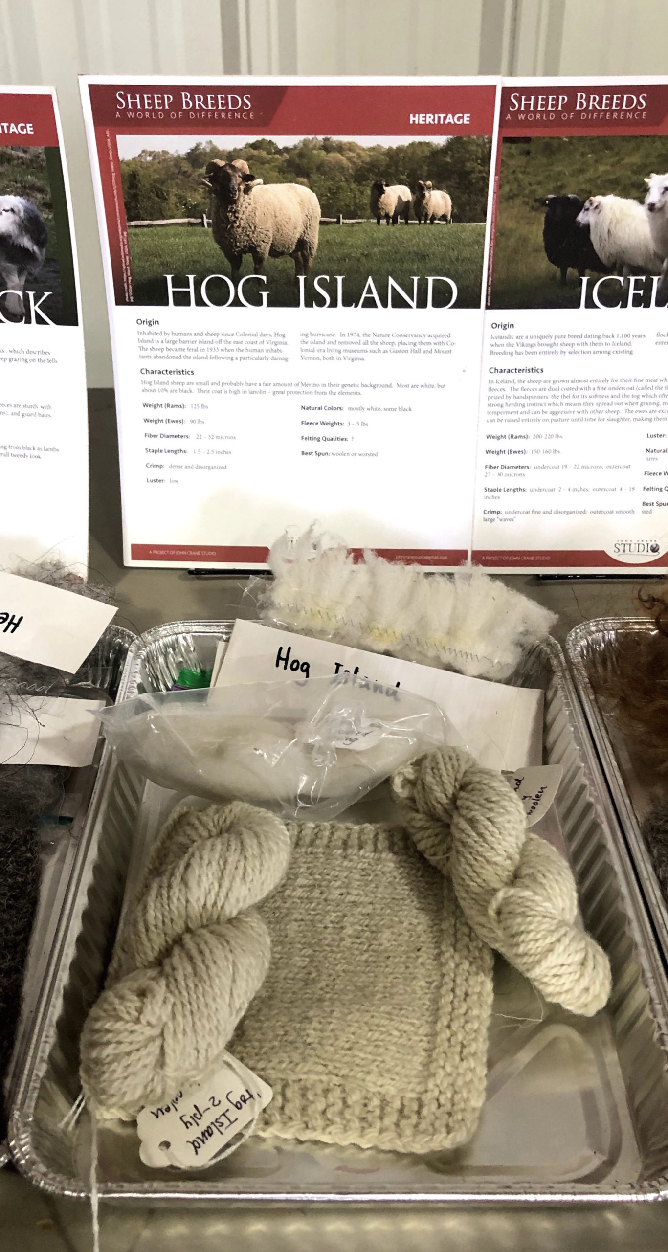 Maryland Sheep & Wool Festival At Yarn's Length