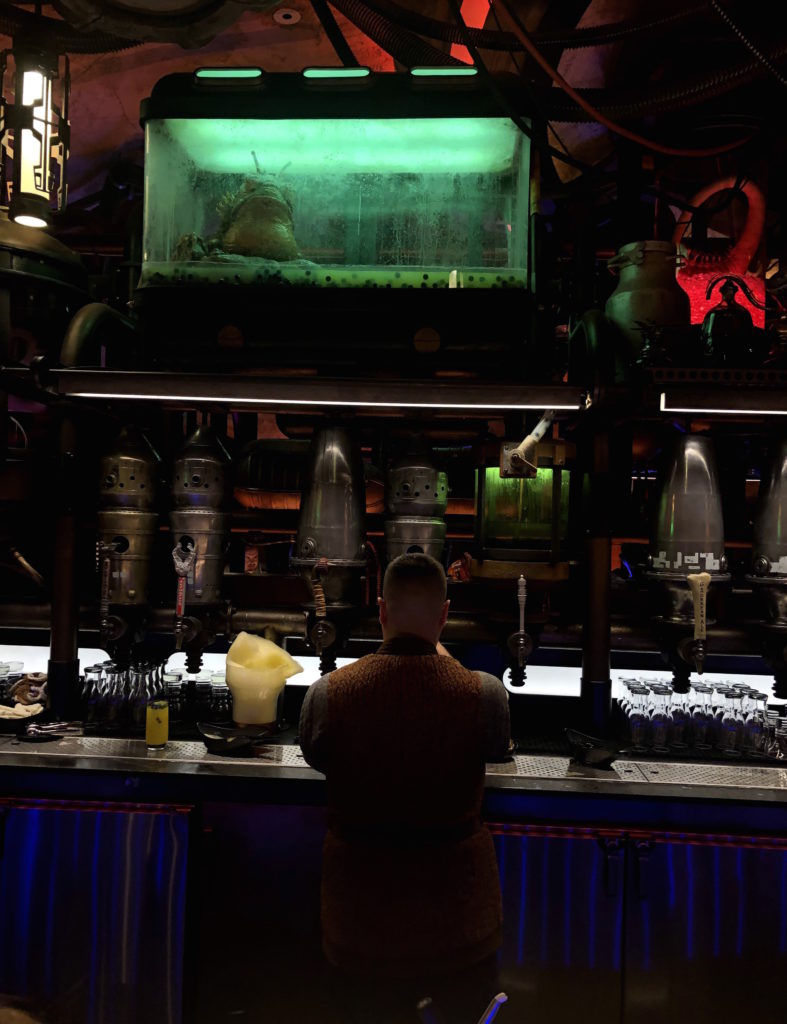 a bartender pours a drink under a terrarium holding an amphibian-like creature