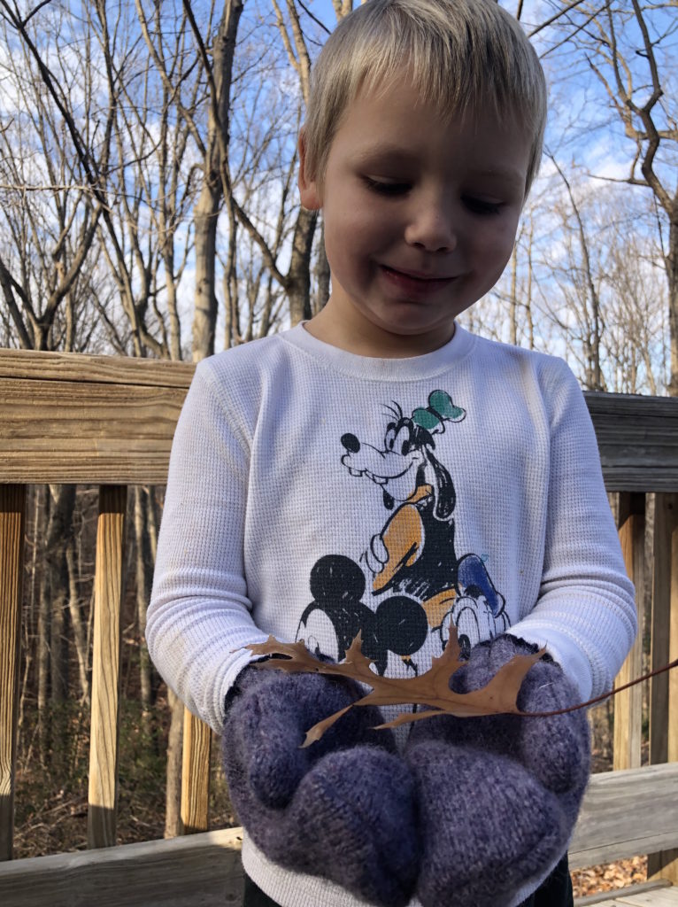 a boy wearing woolen mittens catches a leaf in his cupped hands