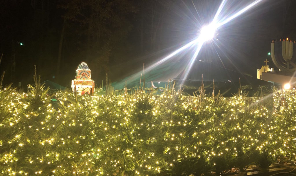 a hedge of Christmas trees creates the entrance to a maze that includes huts celebrating Diwali and Hannukah