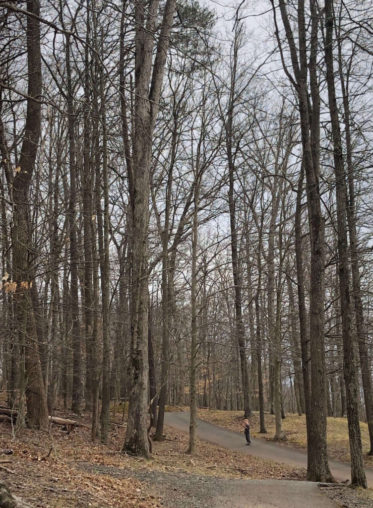 a child waits for his parents to catch up on a path through the woods