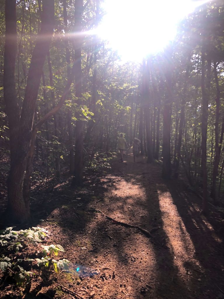 sun peeks through the trees onto a dirt-covered trail through the pines as two children race away