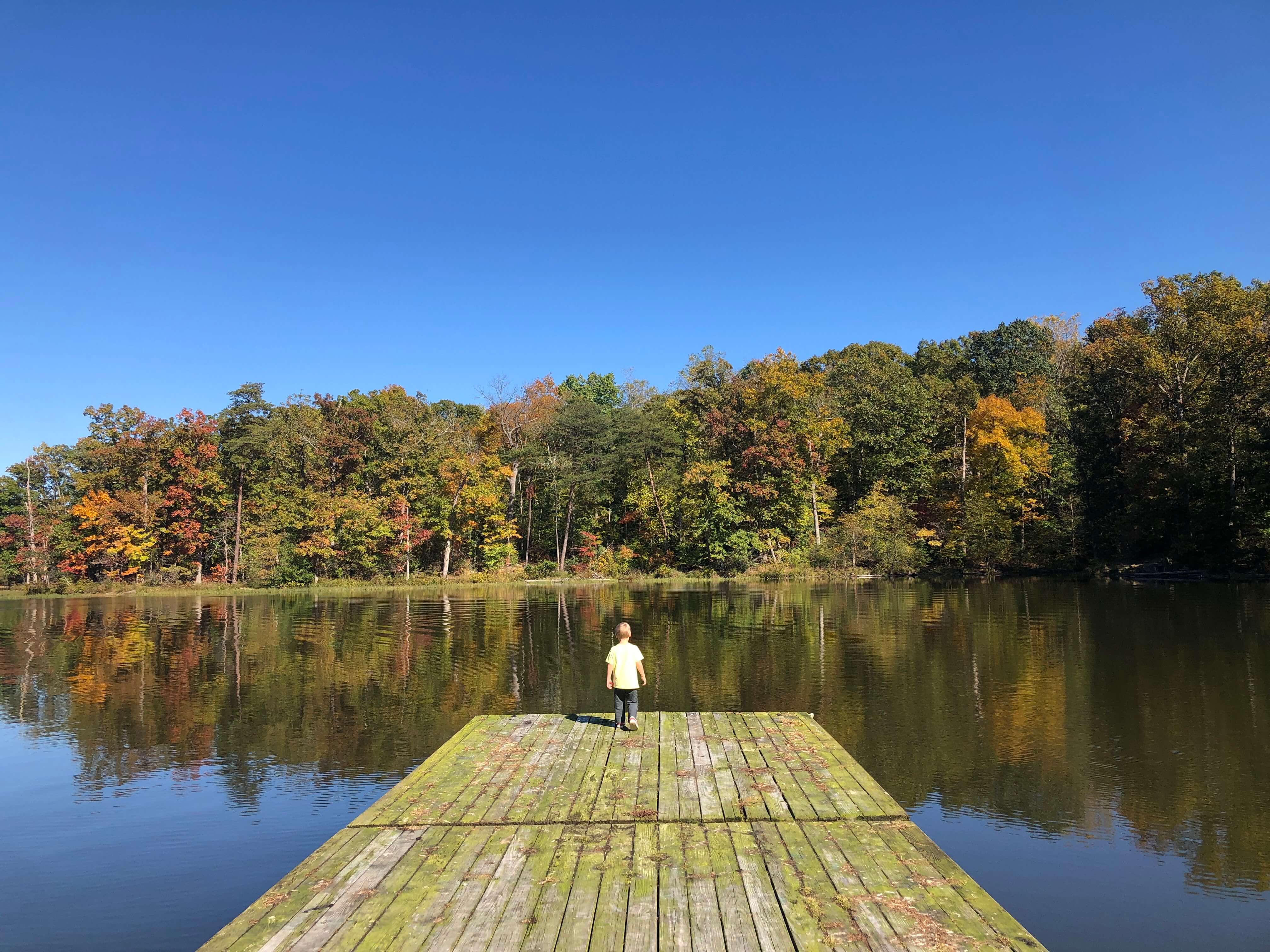 a young boy waits at the end of a dock overlooking a lake on a fall day