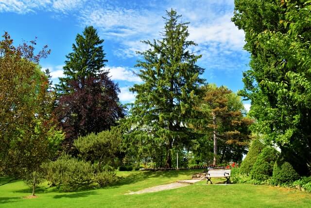 an empty park and park bench wait for visitors on a beautiful summer day