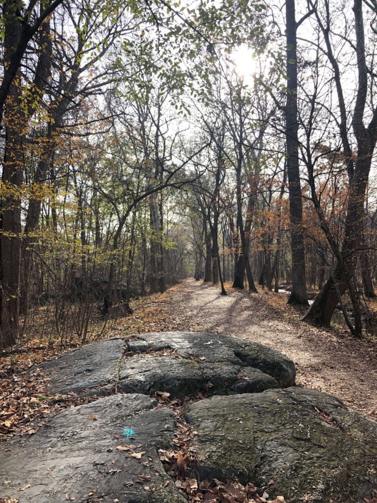 a boulder beside an empty trail on an autumn day