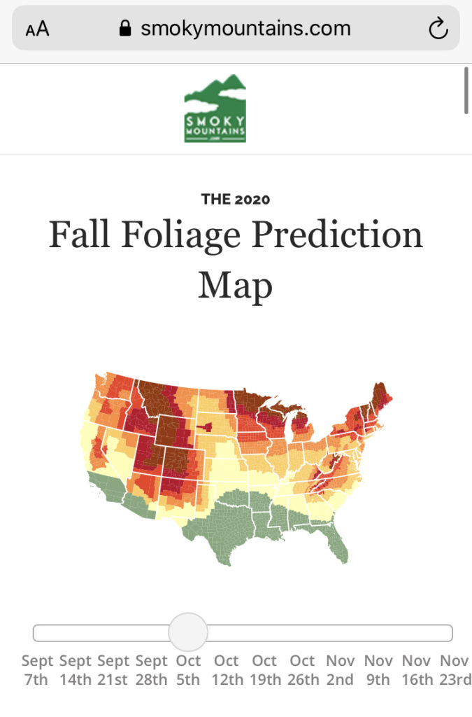 a screenshot of the SmokyMountains.com website shows a fall foliage predictor