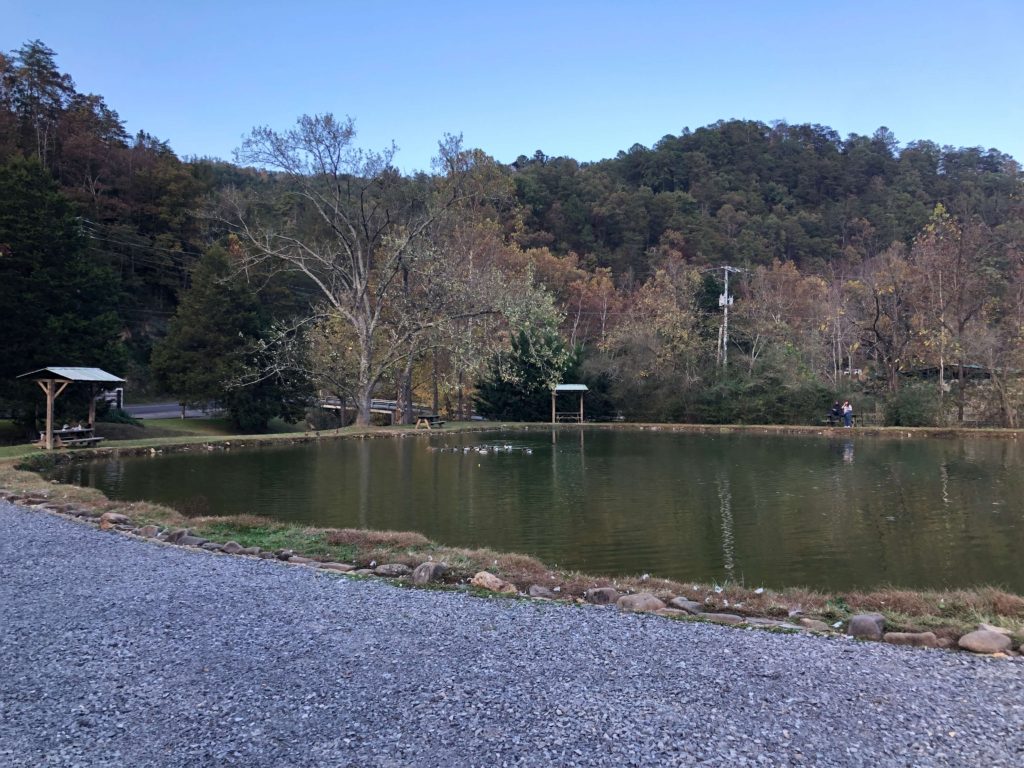 a large fishing pond, nestled in the Smoky Mountains