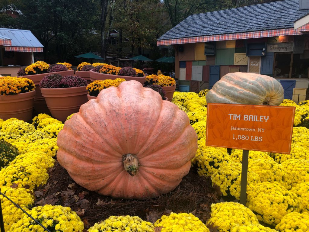 a giant pumpkin, surrounded by flowers, next to a sign that reads TIM BAILEY, JAMESTOWN, NY, 1080 LBS