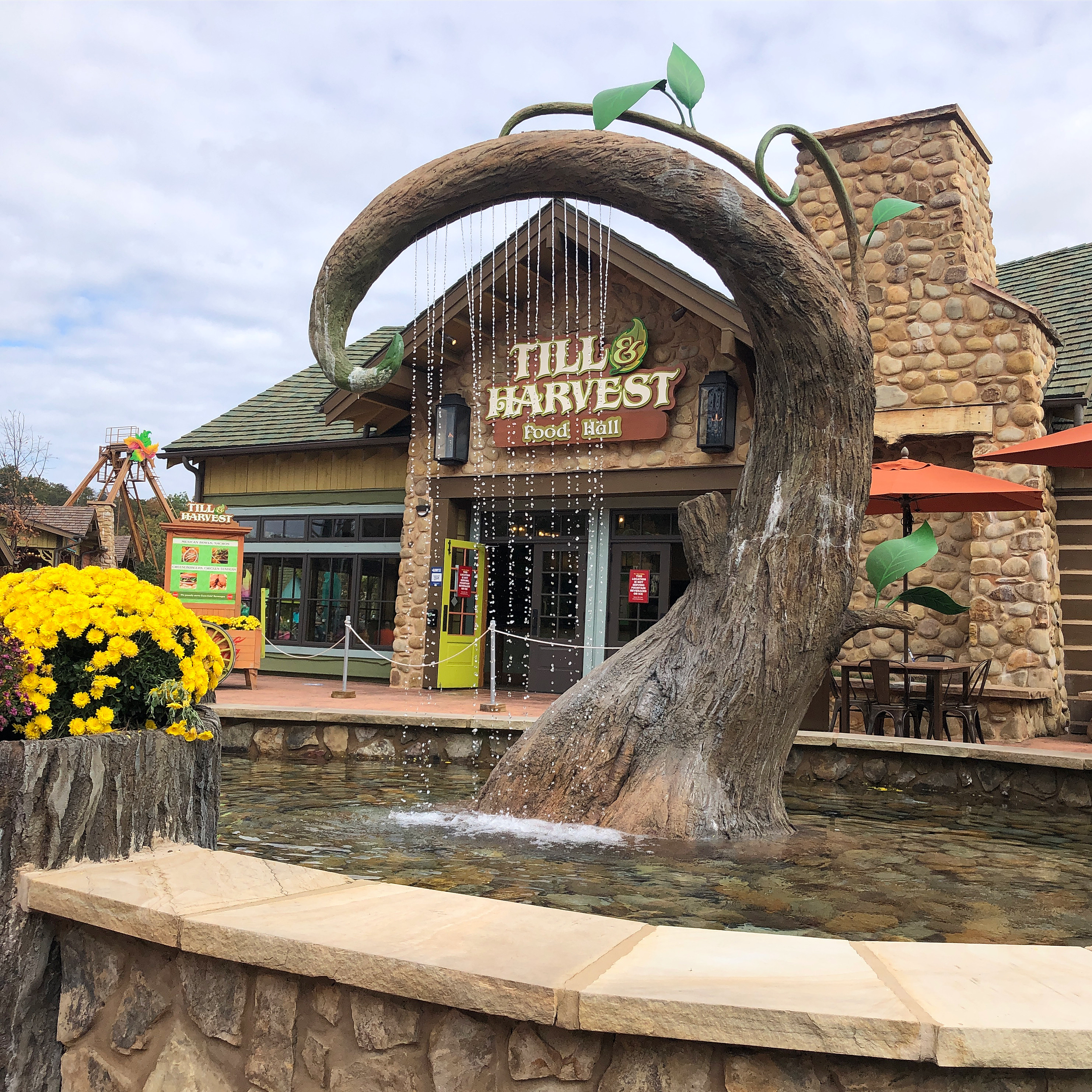 a sprout-shaped tree rains into a wishing pool in front of Till and Harvest Food Hall