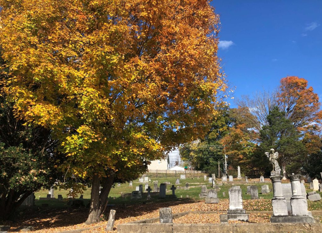 Leaves fall at Sinking Spring Cemetery in Abingdon, Virginia
