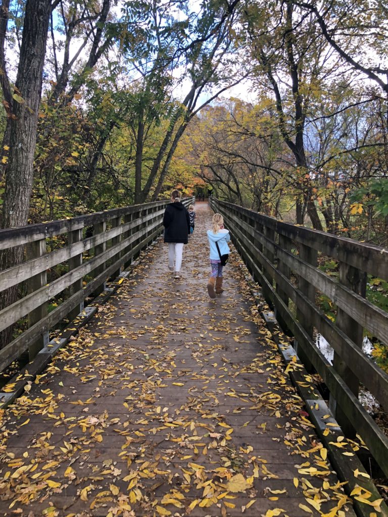 three children step on leaves to cross a wooden bridge in a fall forest