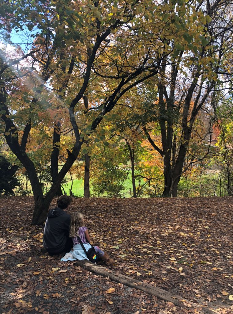 sun shines down on two children who have stopped for a rest by a leaf-covered autumn trail