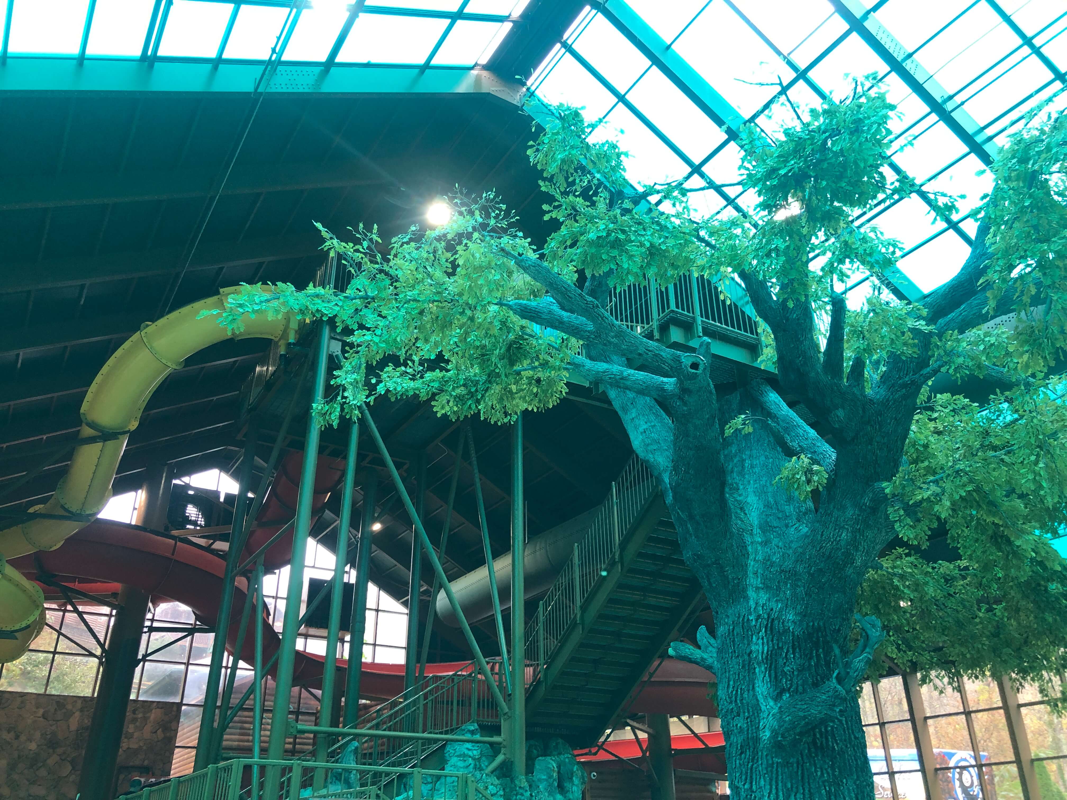 a stairs structure designed to look like a tree holds the access platform for two swirling water slides