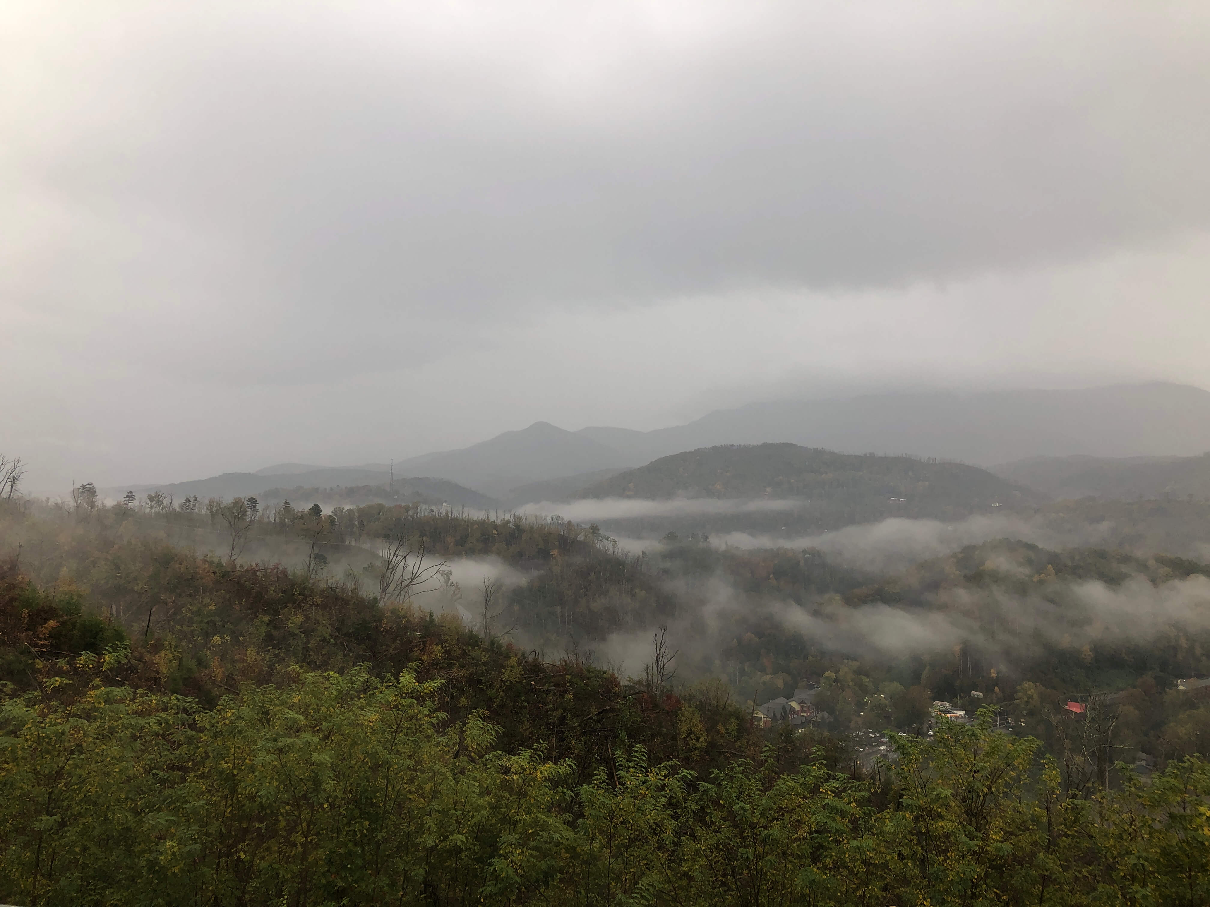 the Great Smoky Mountains in the evening, with the fog rolling in