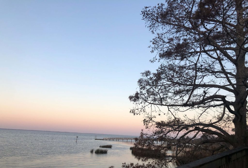 a view of a dock in the Currituck sound through pine trees at sunrise