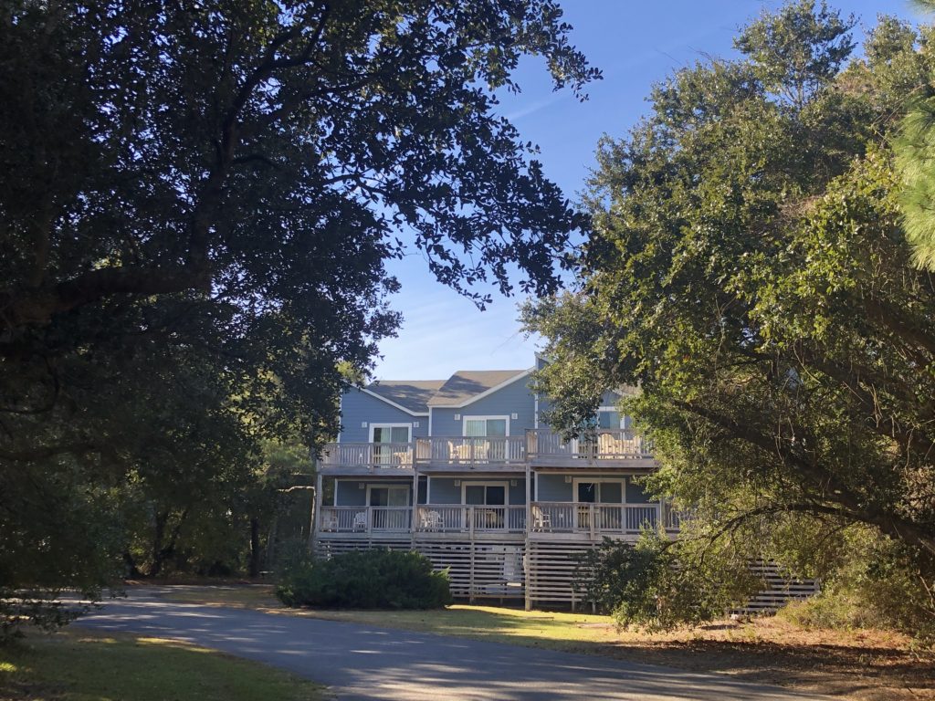 condominiums peek through oak and pine trees below a clear, blue sky