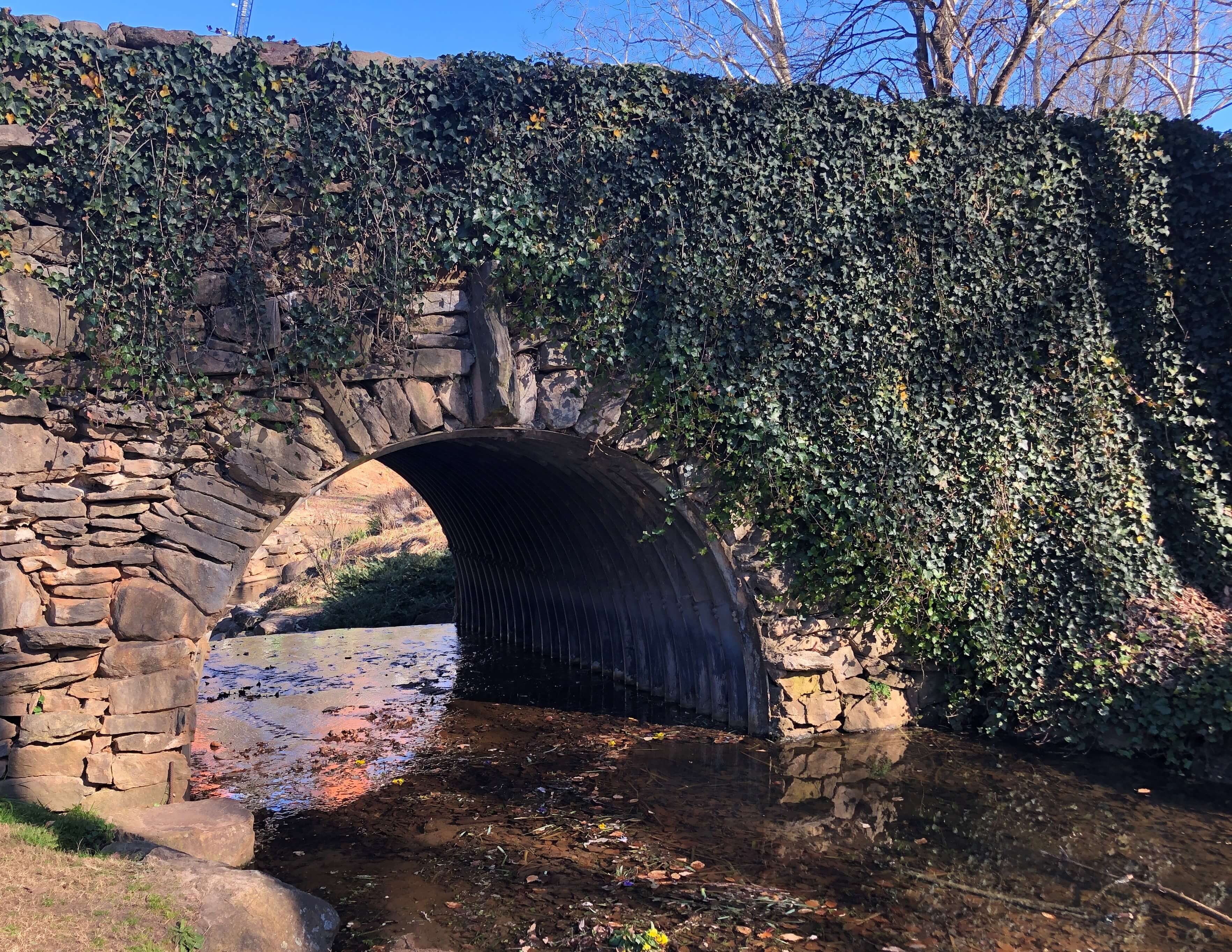 an ivy-covered stone bridge over the Reedy river