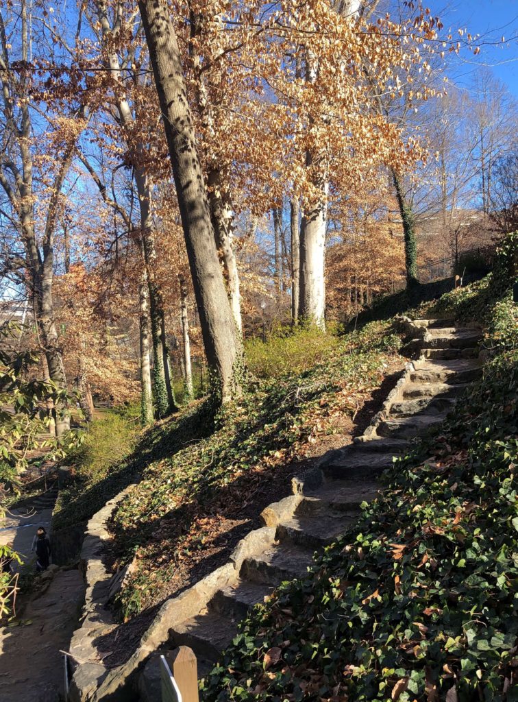 an uneven stone path winds up a hill behind several trees