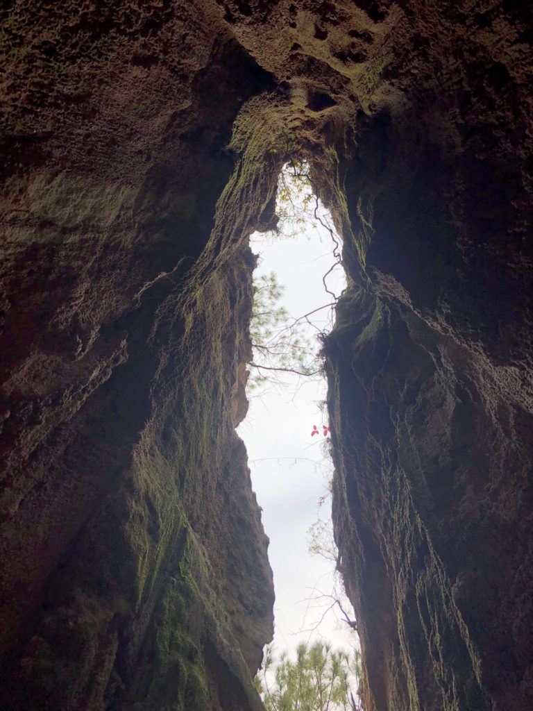 looking up to the bright sky between canyon formations at Providence Canyon