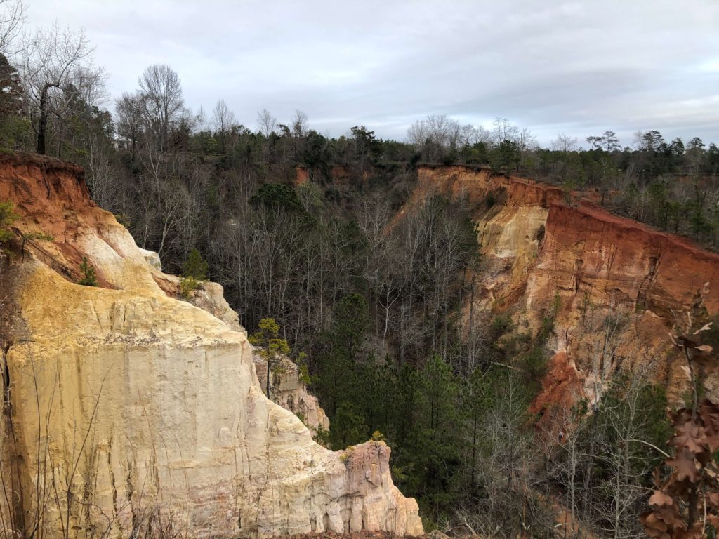 a view from the rim of Providence Canyon, eroding orange and white soil lined with pine trees and rock formations