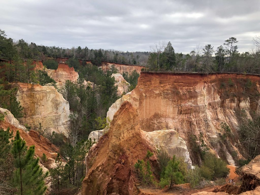 a view from the rim of Providence Canyon, eroding orange and white soil lined with pine trees
