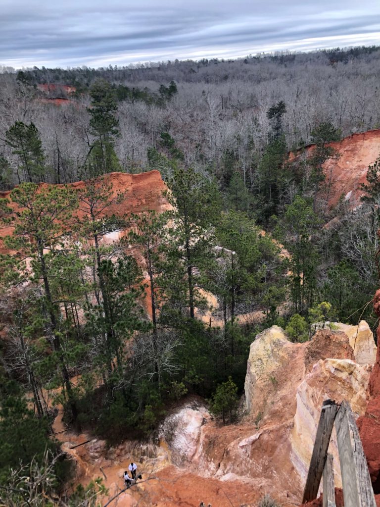 a view from the rim of Providence Canyon, eroding orange and white soil lined with pine trees, with two people at the very bottom