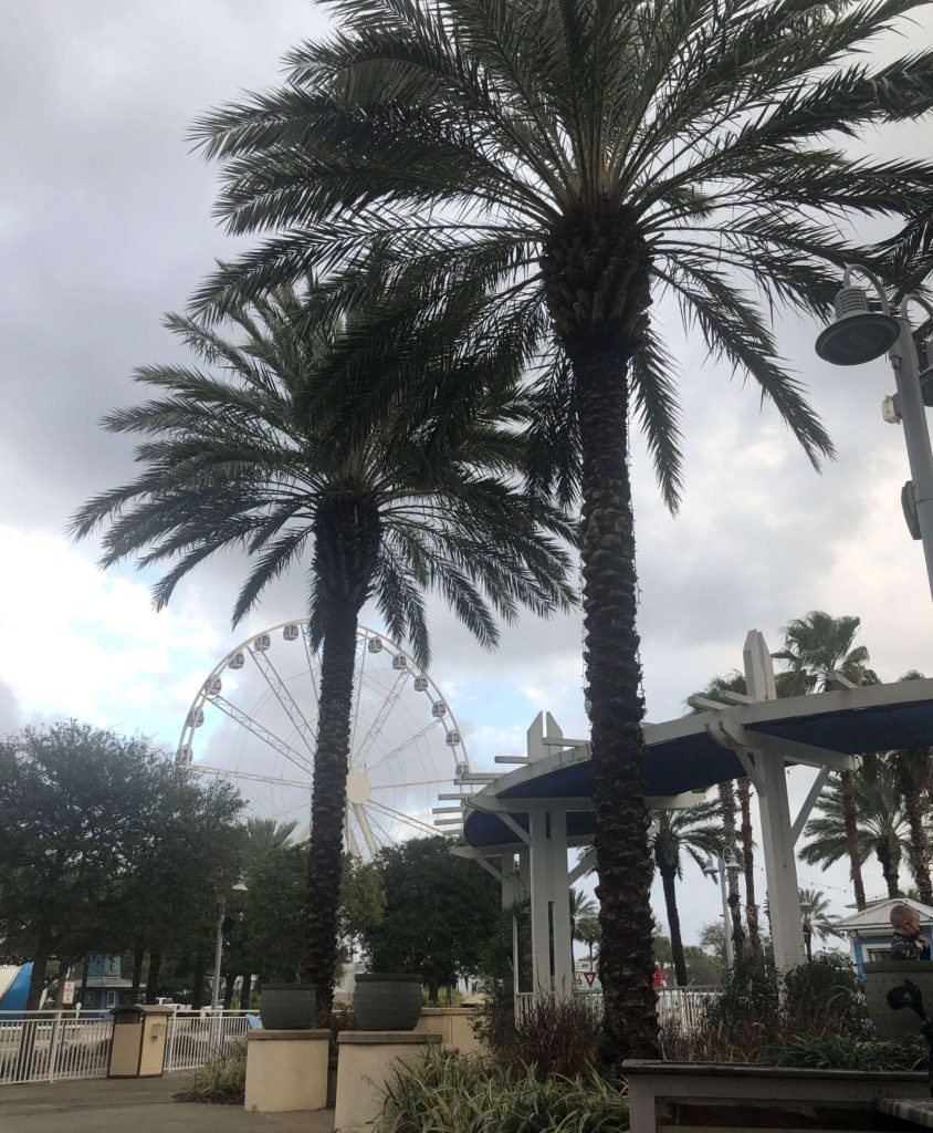 palm trees line Pier Park, a shopping center with a large Ferris Wheel