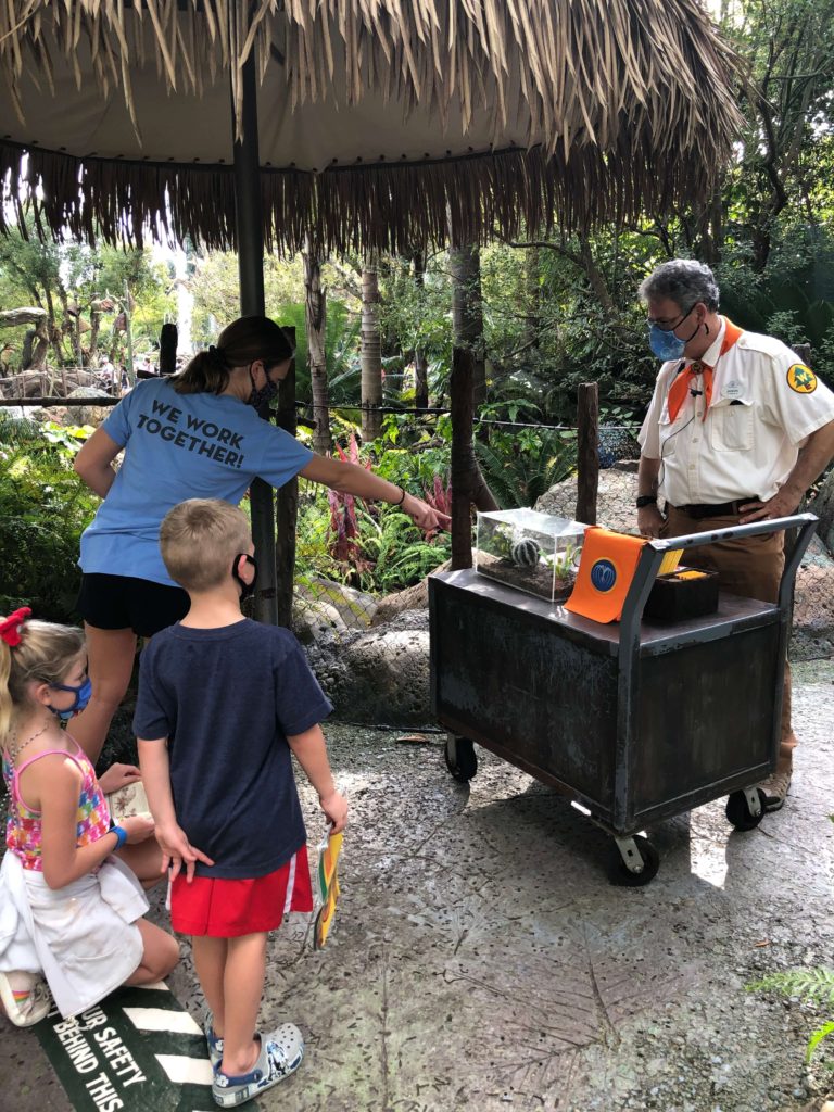 a young girl answers a question from a badge guide by pointing to an encased Venus Fly Trap while her siblings look on