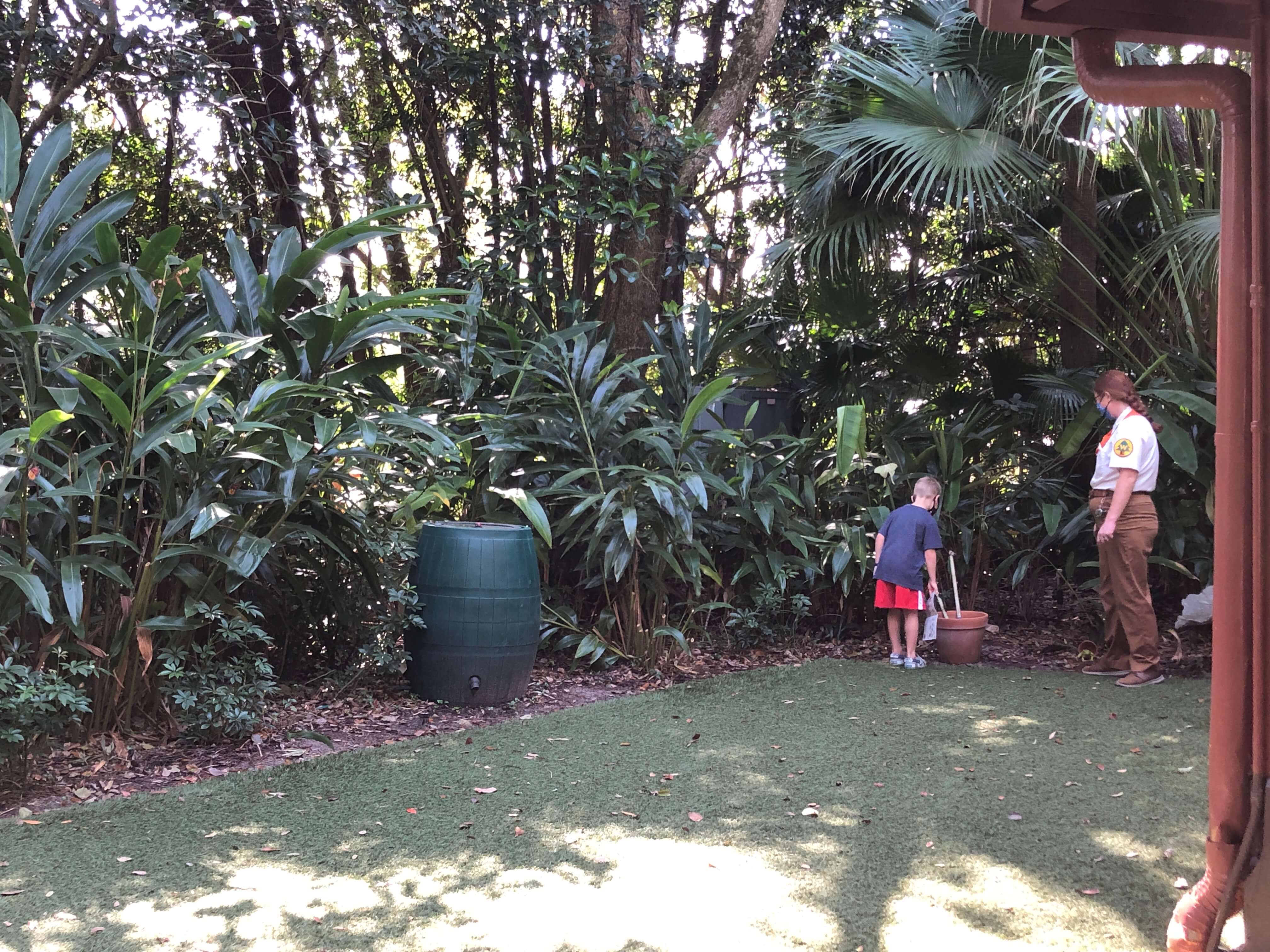 a Wilderness Explorer badge guide helps a young boy search for insects and animals along the treeline