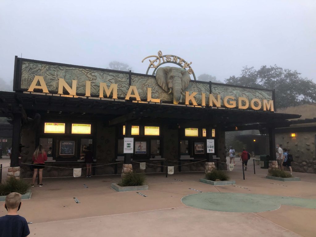 the entrance to Disney's Animal Kingdom features a large elephant head and several queues for ticket sales