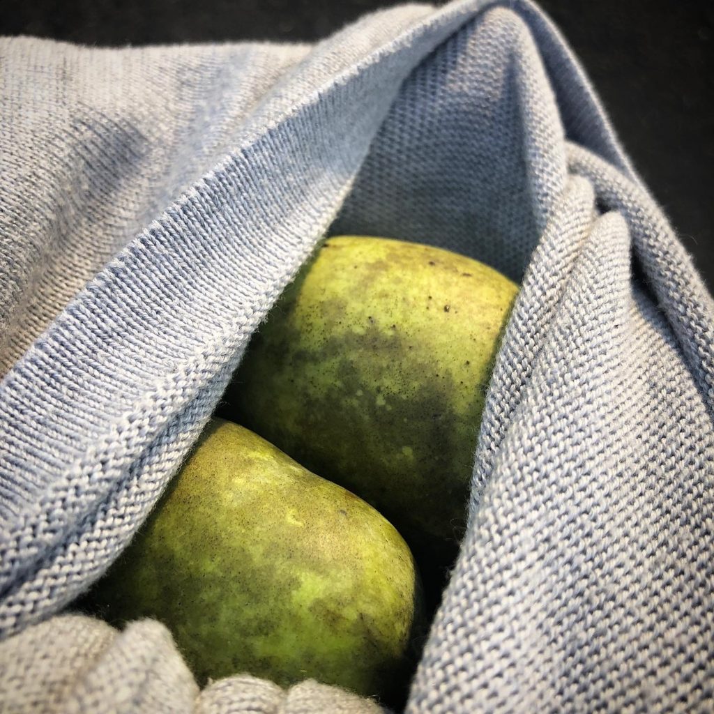 a harvest of pawpaw fruits wrapped in a knitted tote