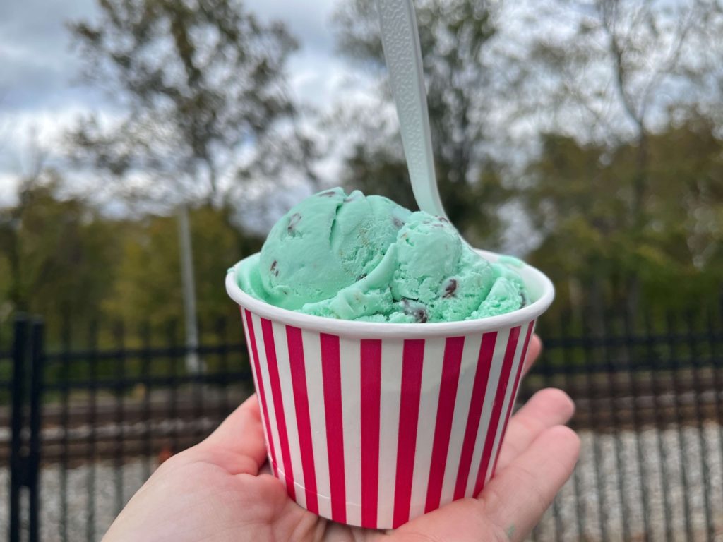 a single scoop of handmade mint chocolate chip ice cream