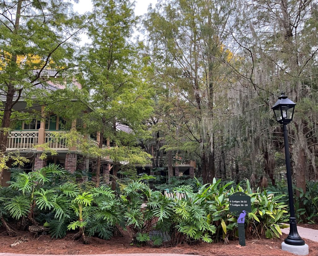 Spanish moss hangs from trees and hides the exterior of a resort building at Port Orleans Riverside Alligator Bayou