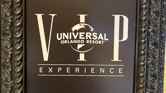 Vip experience