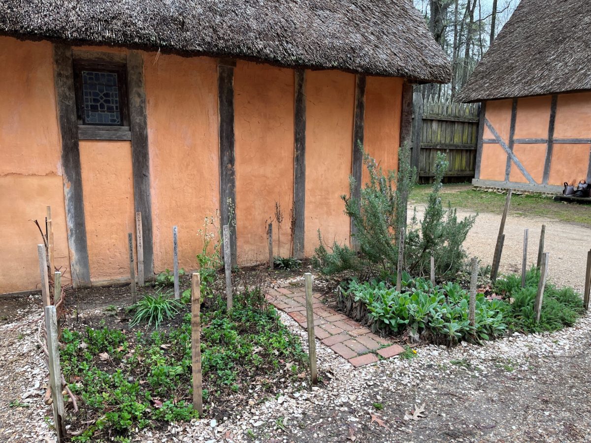 the kitchen garden at Jamestown Settlement