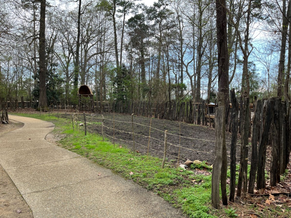 the garden at Papsahegh Town in Jamestown Settlement