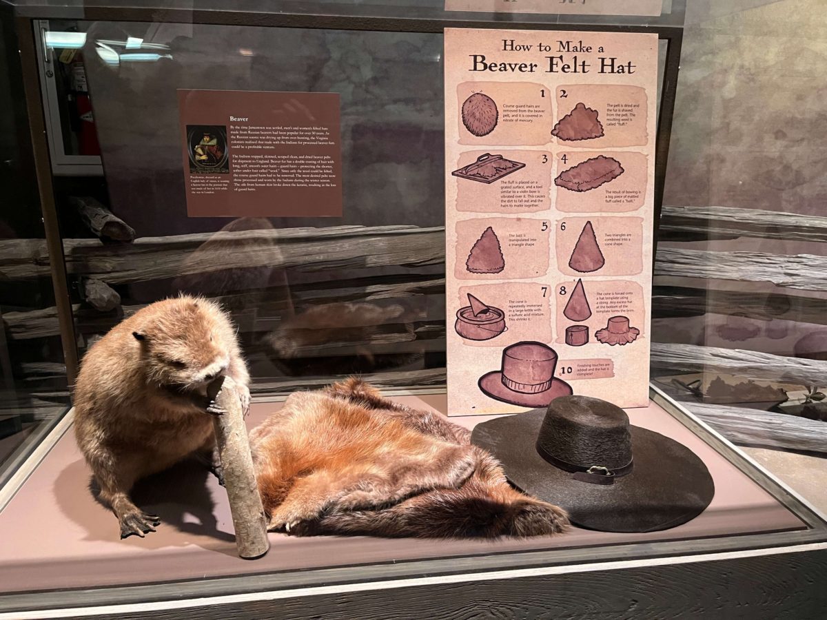 How to Make a Beaver Felt Hat at Jamestown Settlement