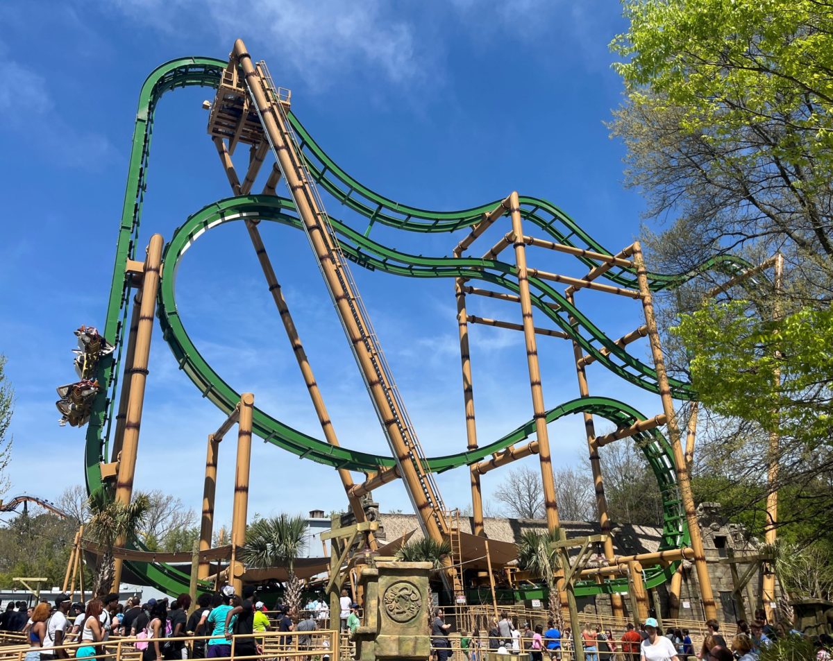 Tumbili freespin coaster at Kings Dominion