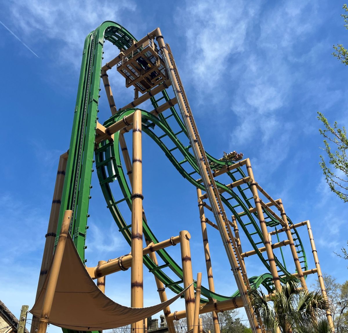 Tumbili freespin coaster at Kings Dominion