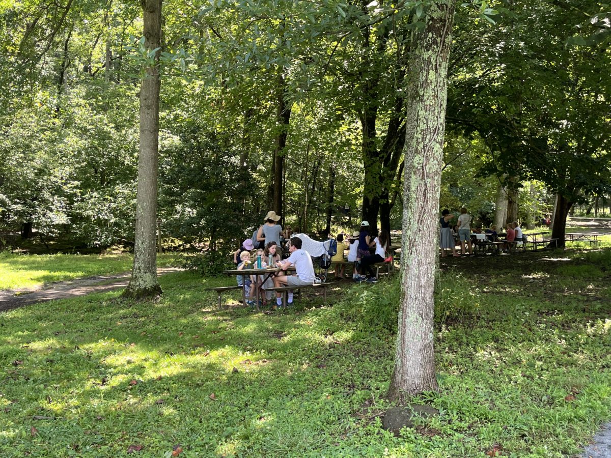 the picnic area outside the woods at Wolf Trap in Vienna, Virginia